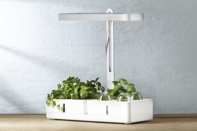 CPH Urban mini garden